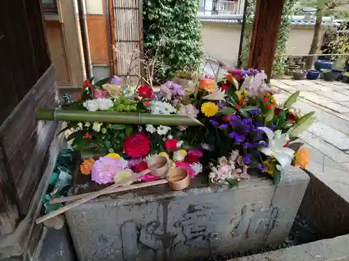 勝林寺(京都府)