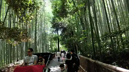 野宮神社(京都府)