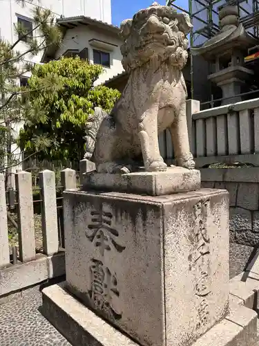 岡山神社の狛犬