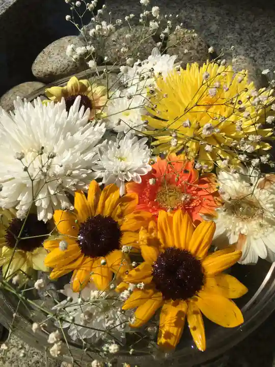 新川皇大神社の手水舎