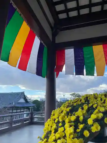 西新井大師総持寺(東京都)