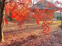 淨眞寺(東京都)