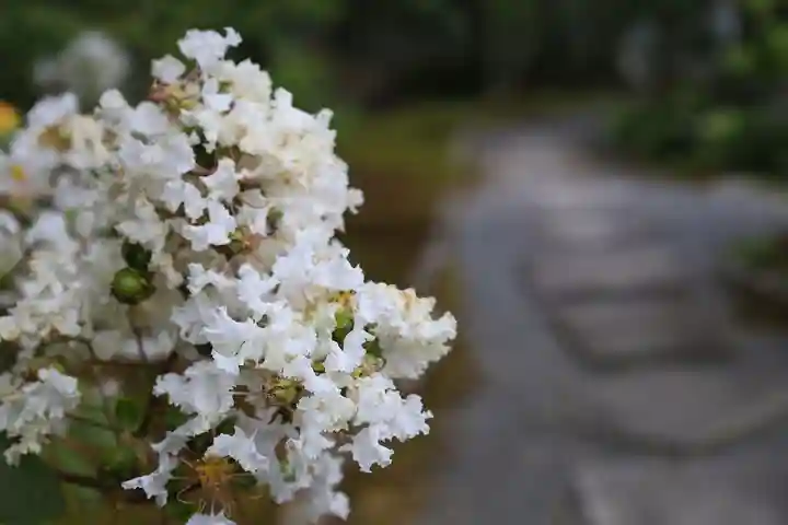 養徳院(京都府)