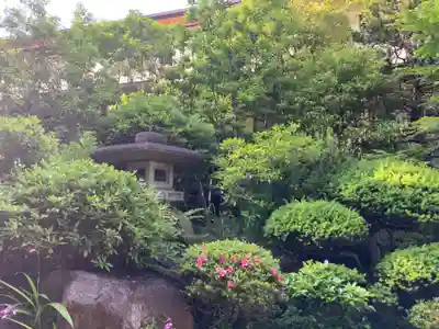 光妙寺(神奈川県)