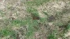 酒門神社の建物その他