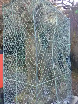 出世稲荷神社の狛犬