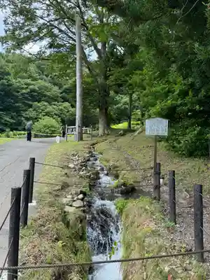 諏訪大社上社前宮の自然