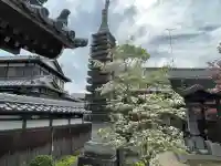 海蔵寺の{uncategorized: "未分類", other: "その他", undefined: "問題あり", building: "その他建物", grave: "お墓", sacred_gate: "鳥居", guardian: "狛犬", statue: "像", buddha: "仏像", history: "歴史", nature: "自然", garden: "庭園", animal: "動物", pagoda: "塔", temizu: "手水舎", mountain_gate: "山門・神門", sanctuary: "本殿・本堂", subordinate: "末社・摂社", art: "芸術", scenery: "景色", jizo: "地蔵", ema: "絵馬", goshuin: "御朱印", omikuji: "おみくじ", items: "授与品その他", amulet: "お守り", goshuincho: "御朱印帳", eats: "食事", festival: "お祭り", votive_dance: "神楽", shichigosan: "七五三参", wedding: "結婚式", experience: "体験その他", initially: "初詣", around: "周辺", anti_infection: "感染症対策"}