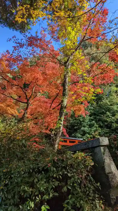 来迎院(京都府)