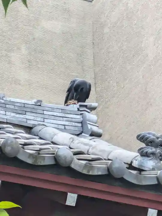 浄心寺(東京都)