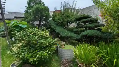 西運寺(狸寺)(京都府)