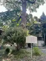 前島神社(静岡県)