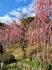 城南宮の自然