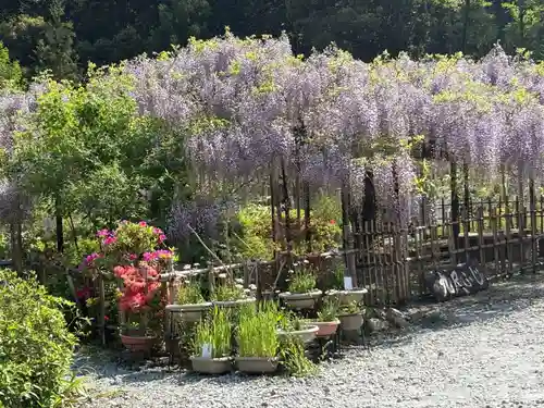 天台宗 五大山 白毫寺(兵庫県)