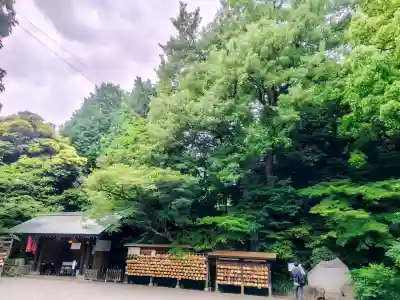 乃木神社(東京都)