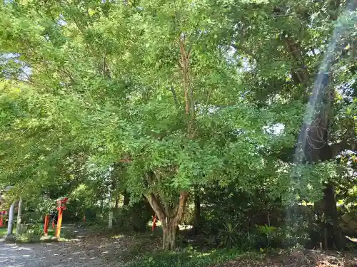 阿須賀神社(和歌山県)