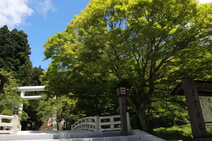 土津神社|こどもと出世の神さまの鳥居