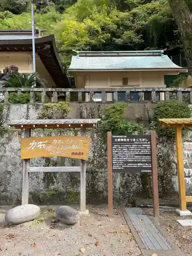 土肥神社(静岡県)
