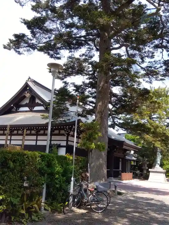安養寺の本殿・本堂