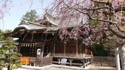 阿豆佐味天神社 立川水天宮の本殿・本堂