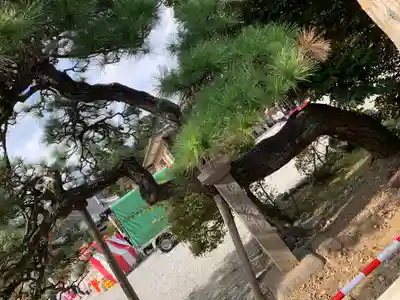 箭弓稲荷神社のその他建物