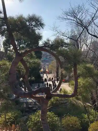 清水観音堂の庭園