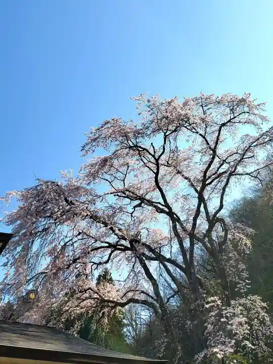観音寺(福島県)