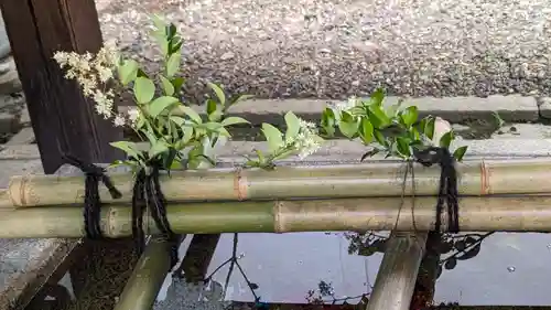 行願寺（革堂）(京都府)