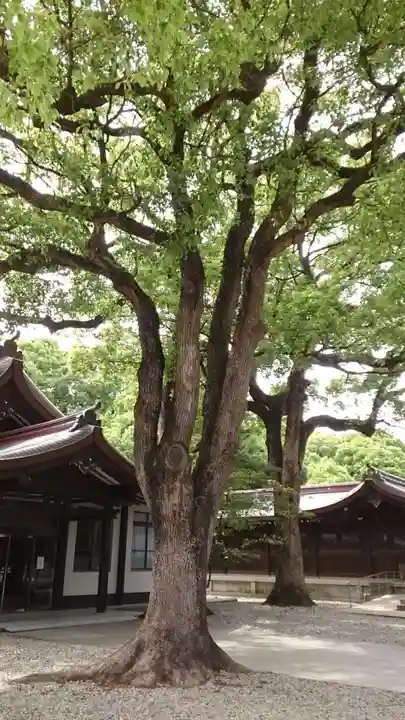 明治神宮(東京都)