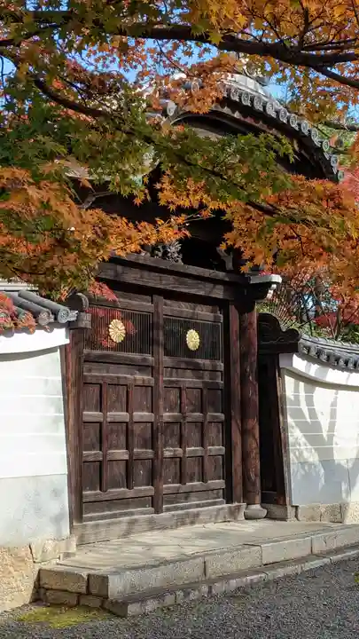 妙顯寺(妙顕寺)(京都府)