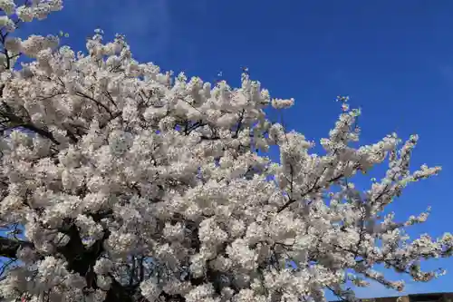 水天宮の庭園