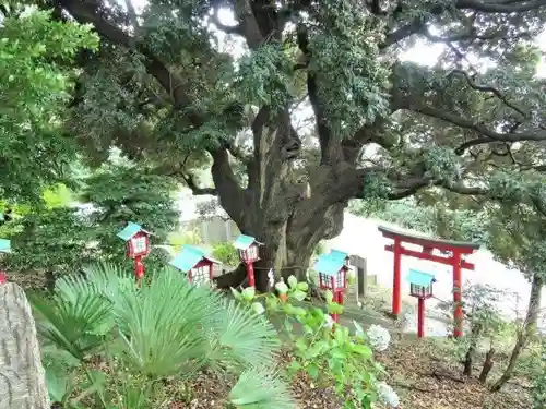 八坂神社(東京都)