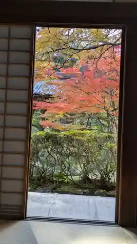 西明寺(京都府)