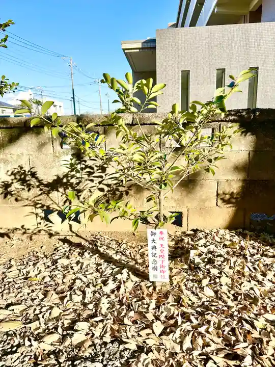 妻田神社(神奈川県)
