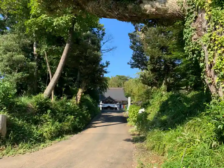 宝金剛寺(千葉県)