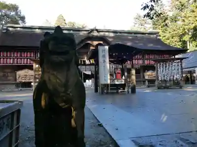 大崎八幡宮の狛犬