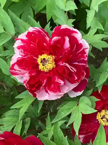 薬師院(兵庫県)