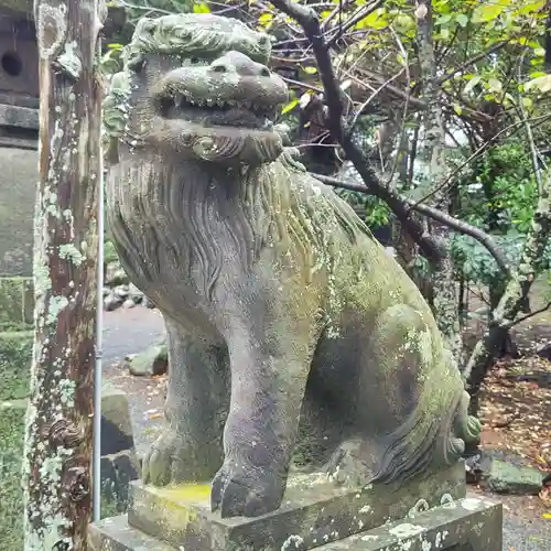 伊古奈比咩命神社の狛犬