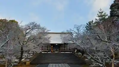 仁和寺の本殿・本堂