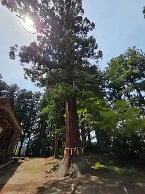 魚沼神社(新潟県)