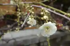 菅原天満宮（菅原神社）の自然