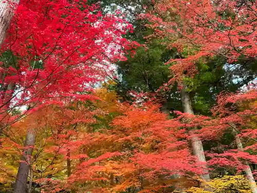 温泉寺(岐阜県)
