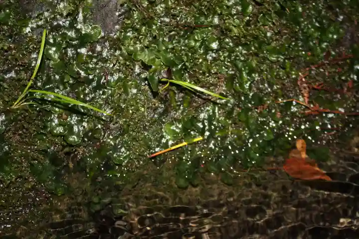 貴船神社(京都府)
