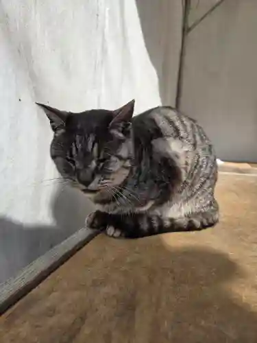 梅宮大社(京都府)