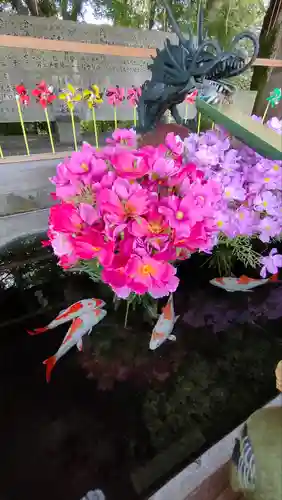 國分八幡宮の手水舎