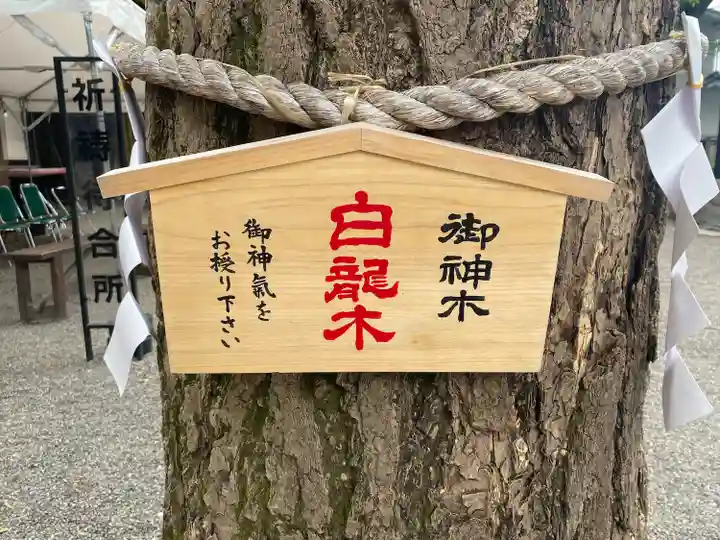 田無神社(東京都)