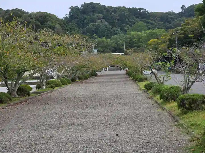 安房神社(千葉県)