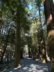 椿大神社(三重県)