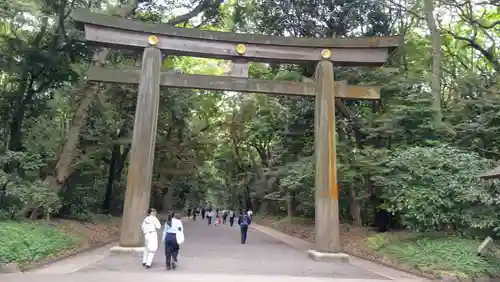 明治神宮(東京都)