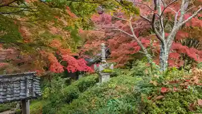 善峯寺(京都府)